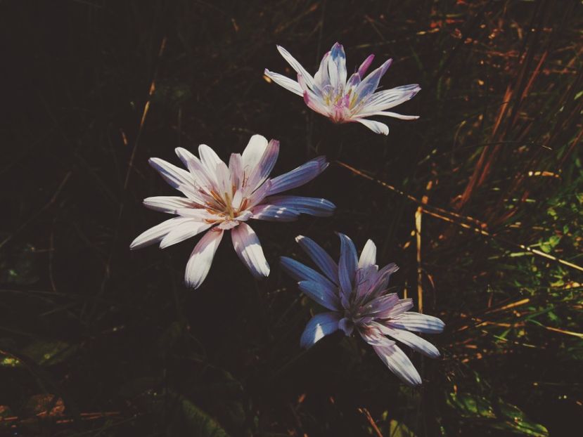  - Photo 09
