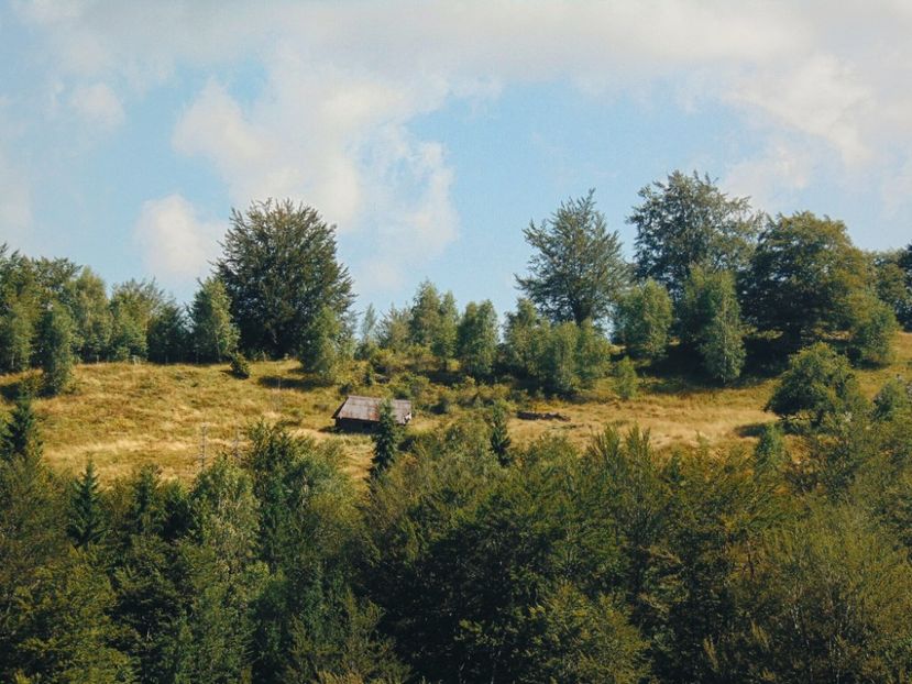  - Photo 09