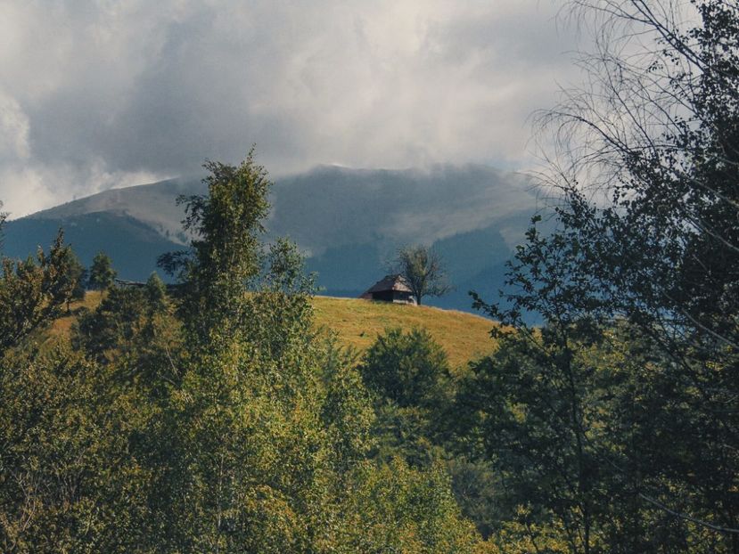  - Photo 09