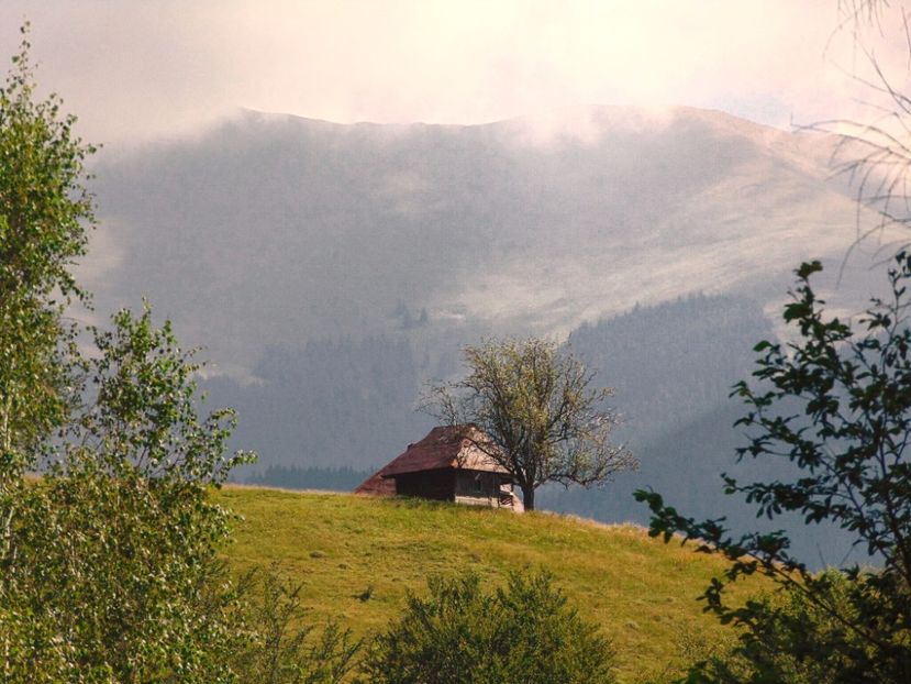  - Photo 09