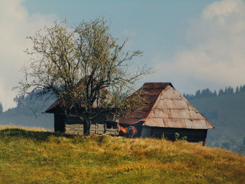  - Photo 09