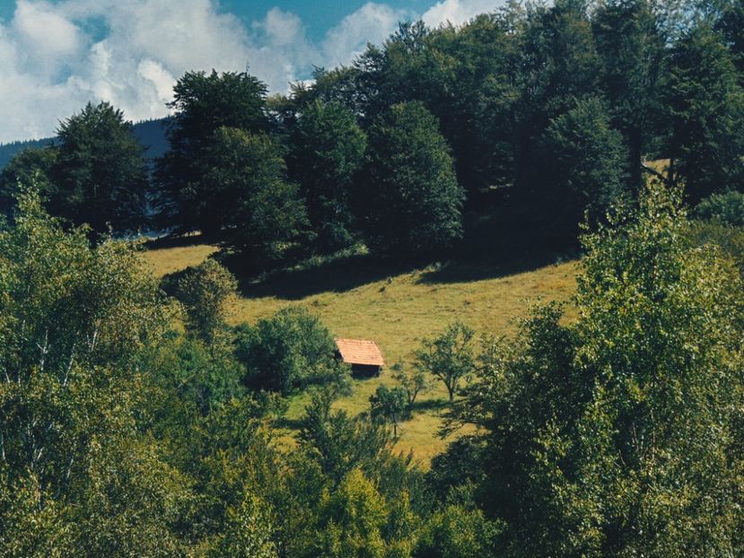  - Photo 09