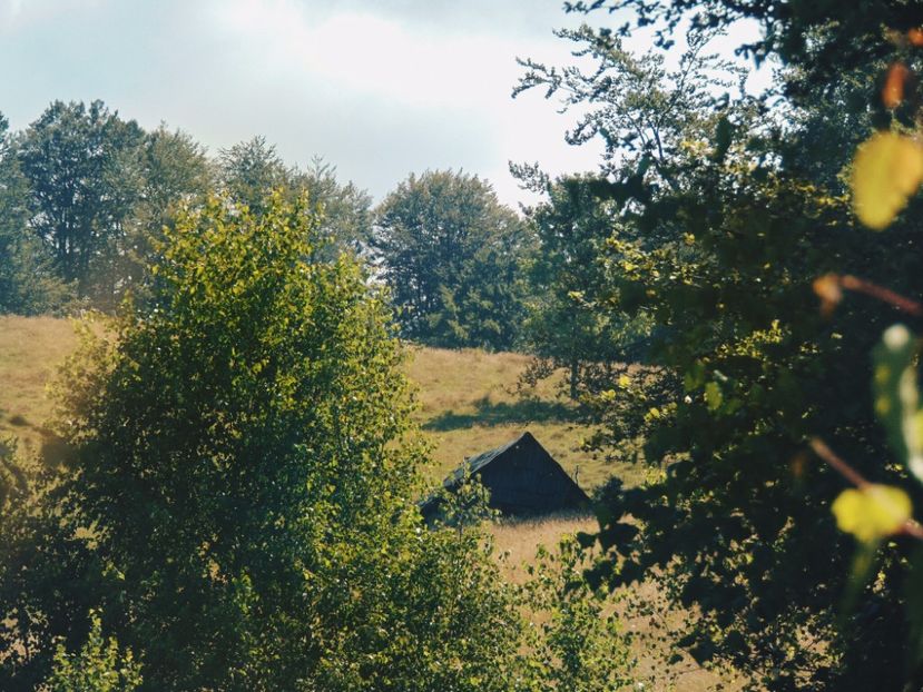  - Photo 09