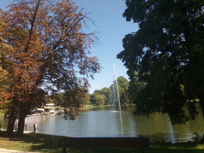  - Craiova septembrie 2017