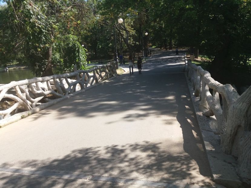  - Craiova septembrie 2017