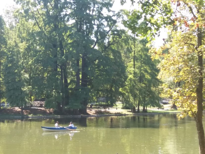  - Craiova septembrie 2017