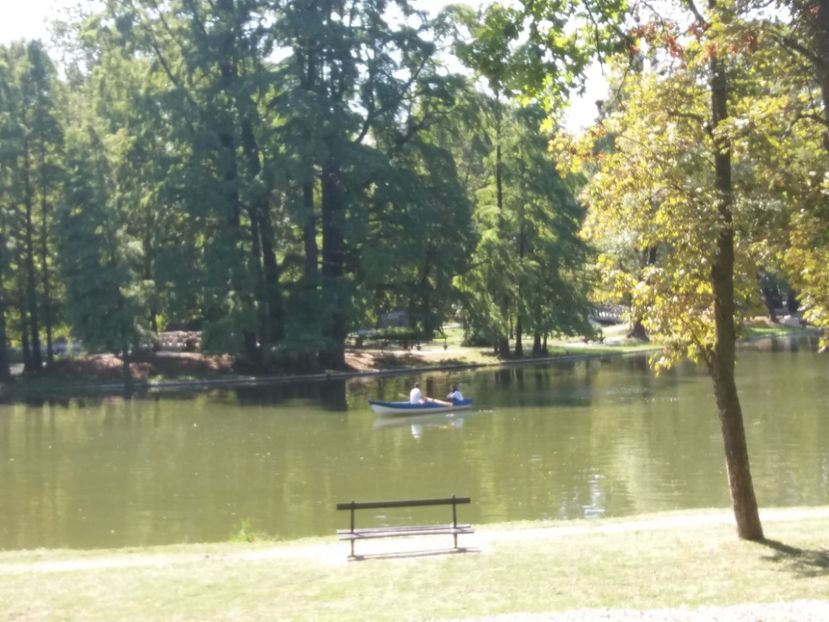  - Craiova septembrie 2017