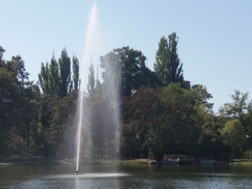  - Craiova septembrie 2017