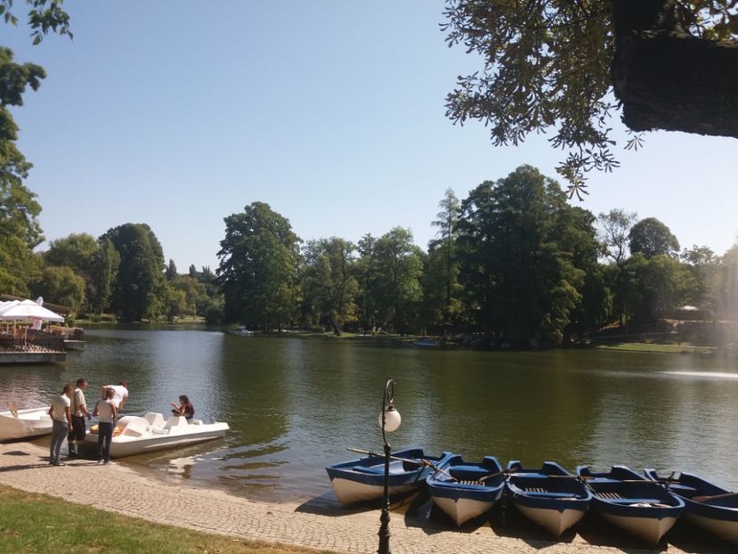  - Craiova septembrie 2017