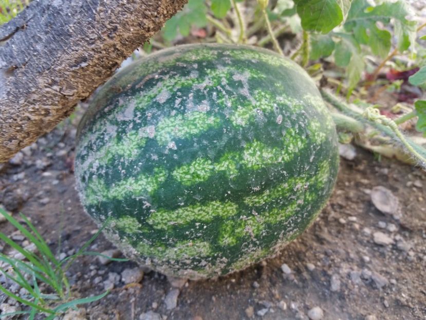  - La țară în septembrie 2017