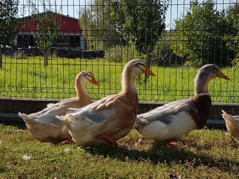 20170929_155745(0) - Rate Saxone