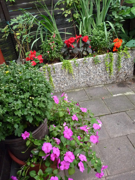  - 2017 - 03 - Toamna