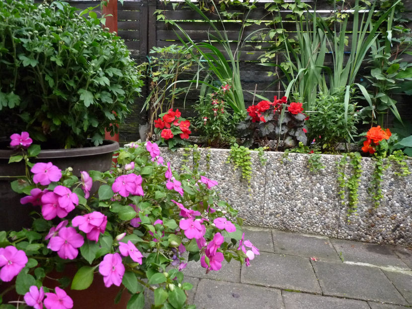  - 2017 - 03 - Toamna