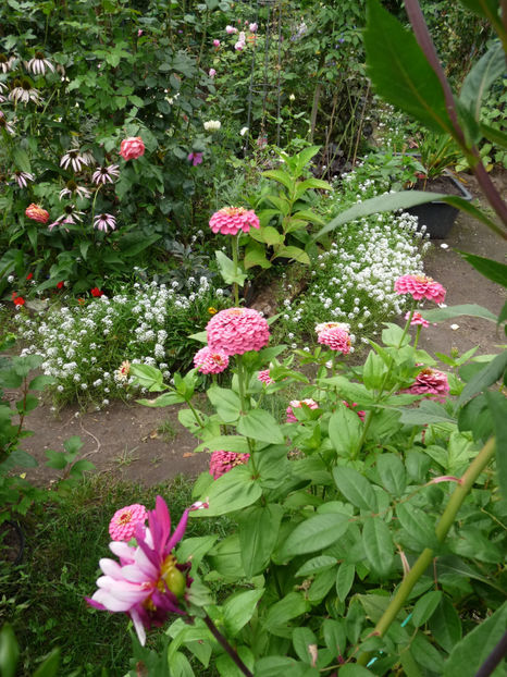  - 2017 - 03 - Toamna