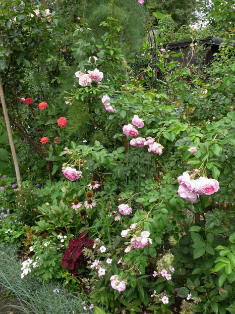  - 2017 - 03 - Toamna