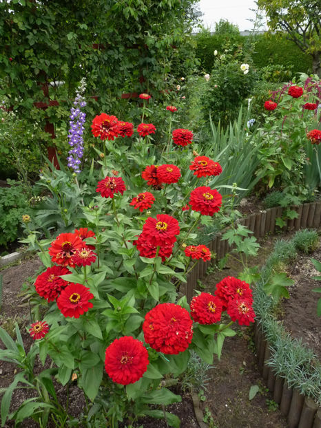  - 2017 - 03 - Toamna