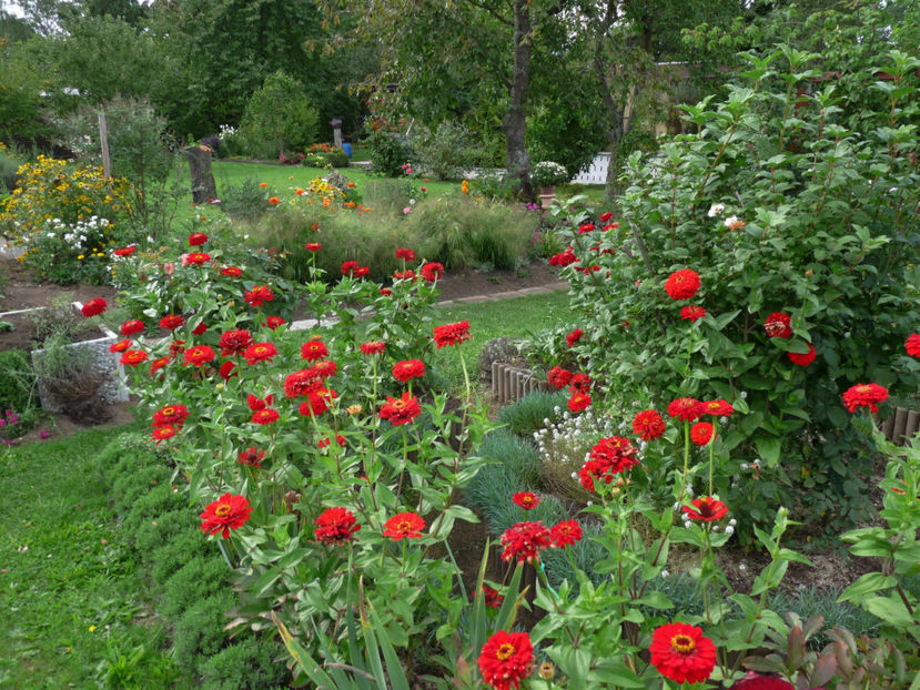  - 2017 - 03 - Toamna