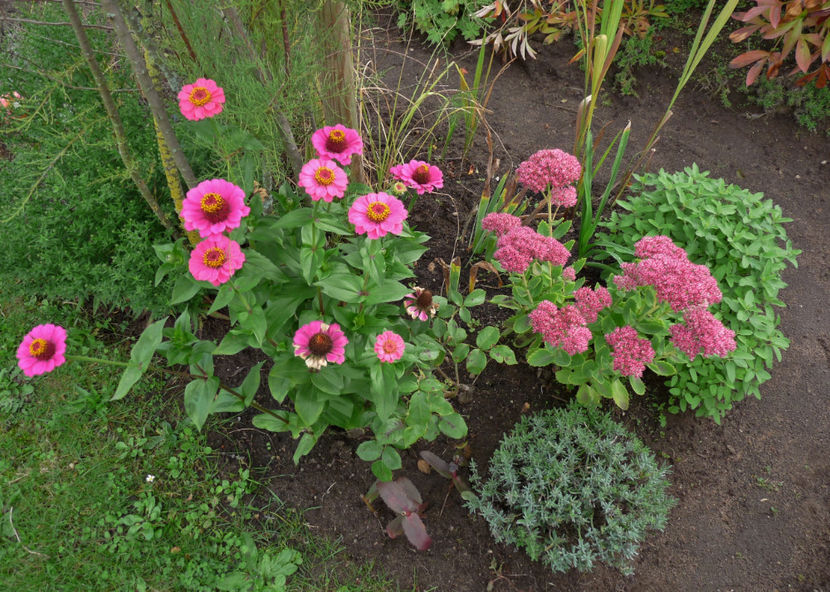  - 2017 - 03 - Toamna