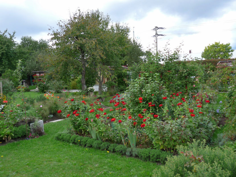  - 2017 - 03 - Toamna