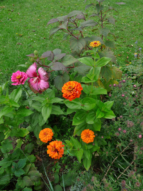  - 2017 - 03 - Toamna