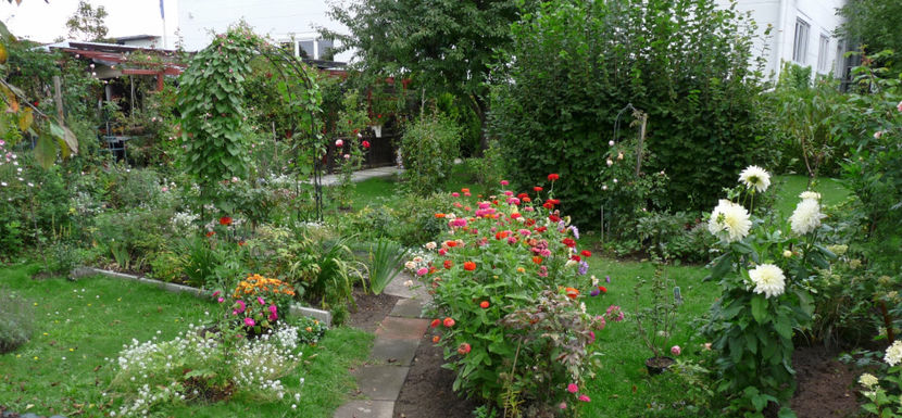  - 2017 - 03 - Toamna