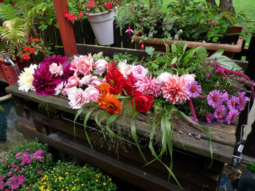  - 2017 - 03 - Toamna