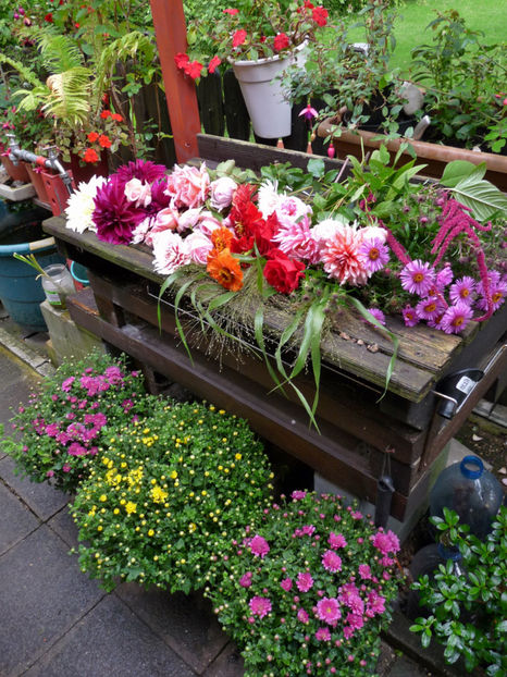  - 2017 - 03 - Toamna