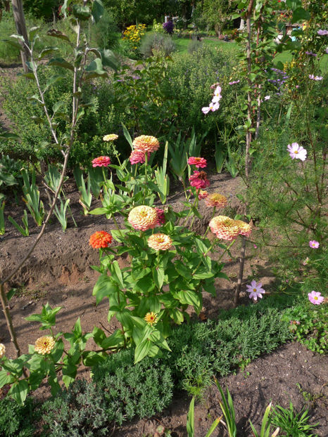  - 2017 - 03 - Toamna