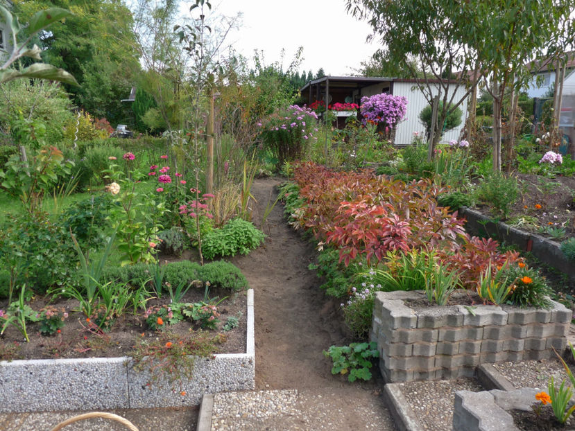  - 2017 - 03 - Toamna