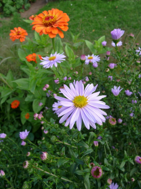  - 2017 - 03 - Toamna