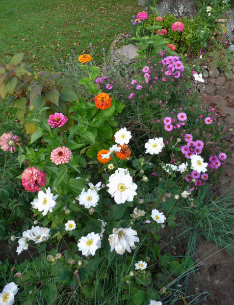  - 2017 - 03 - Toamna