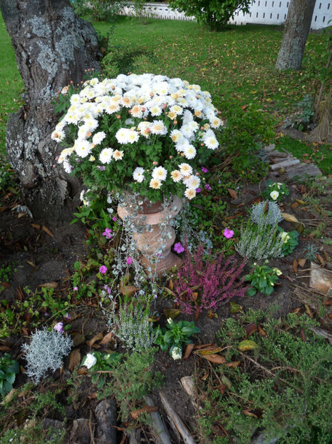  - 2017 - 03 - Toamna