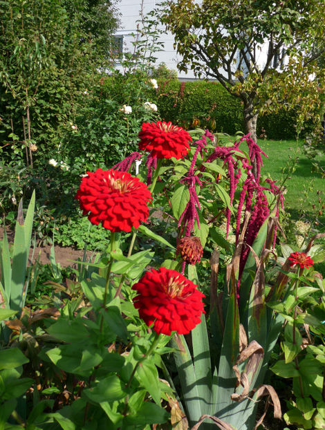  - 2017 - 03 - Toamna