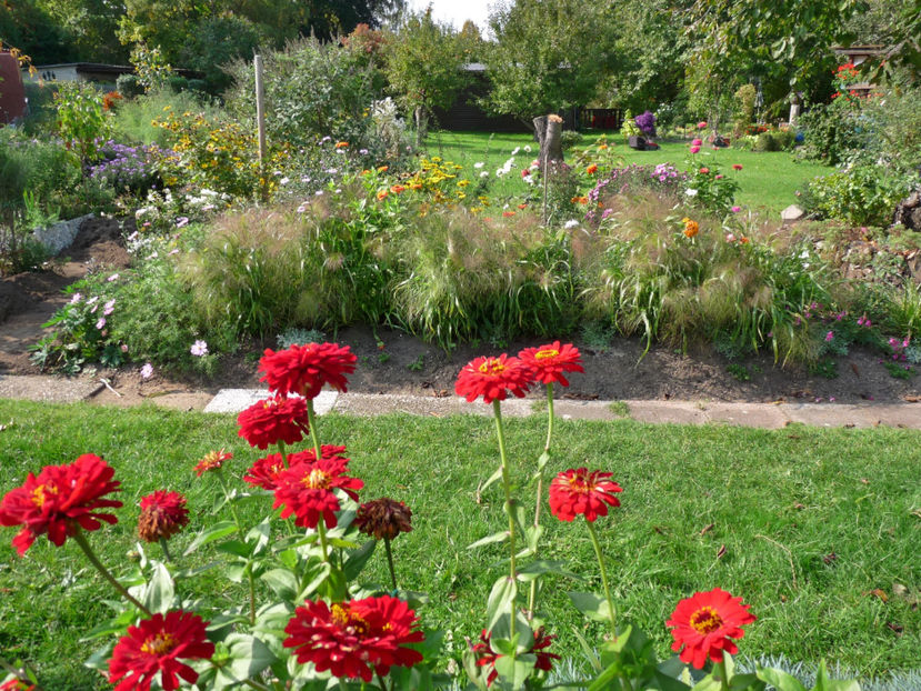  - 2017 - 03 - Toamna