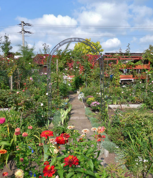  - 2017 - 03 - Toamna