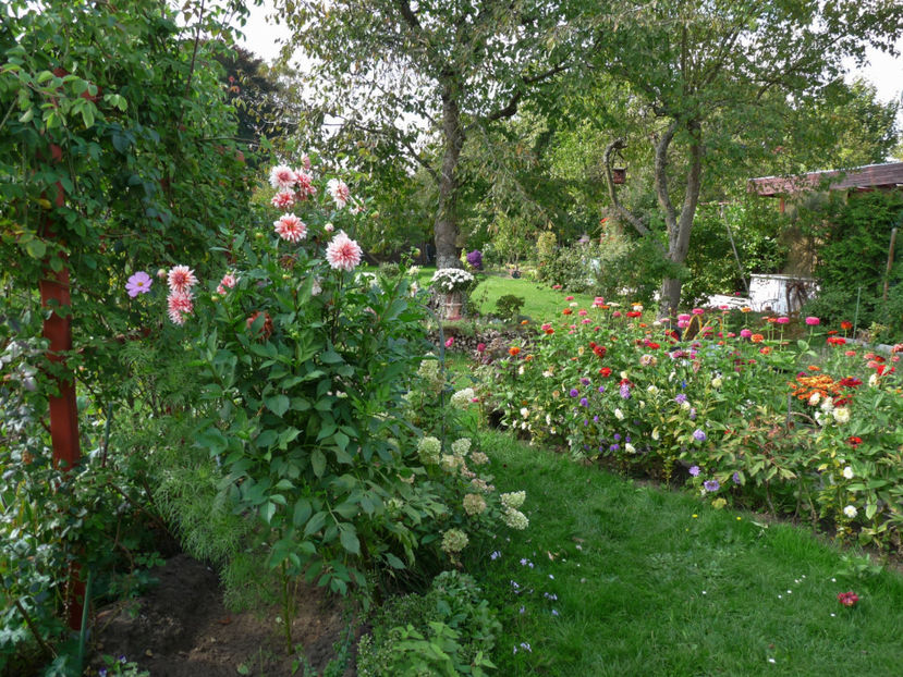  - 2017 - 03 - Toamna