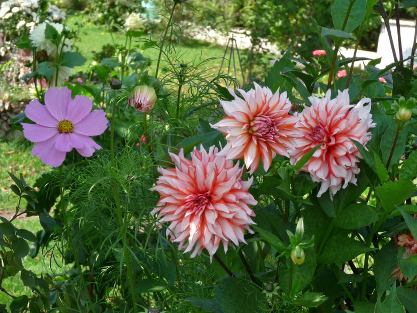  - 2017 - 03 - Toamna