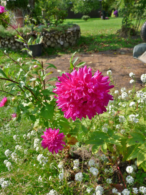  - 2017 - 03 - Toamna