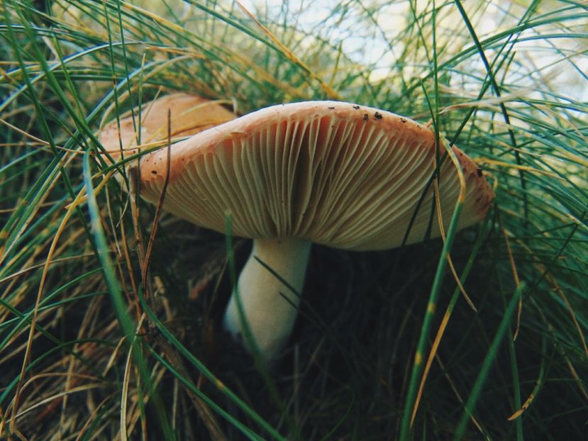  - Photo 09