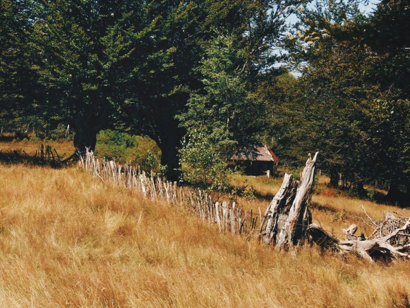  - Photo 09
