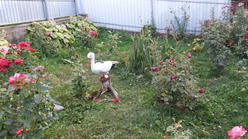 1506785396507-916906265 - 000000000000001   GRADINA MEA