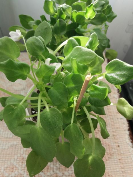 29 sept - Rob s Humpty Doo