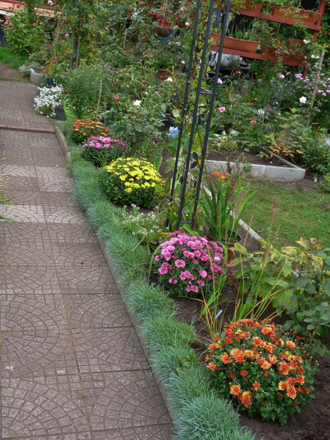  - 2017 - 03 - Toamna