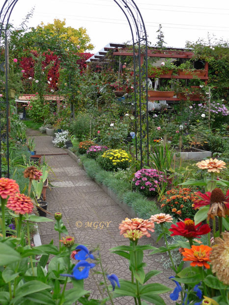  - 2017 - 03 - Toamna