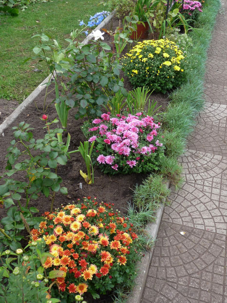  - 2017 - 03 - Toamna