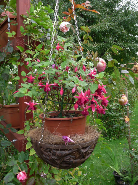  - 2017 - 03 - Toamna