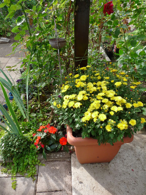  - 2017 - 03 - Toamna