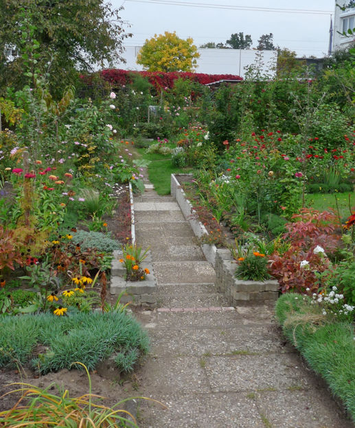  - 2017 - 03 - Toamna