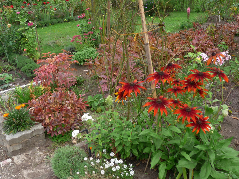  - 2017 - 03 - Toamna