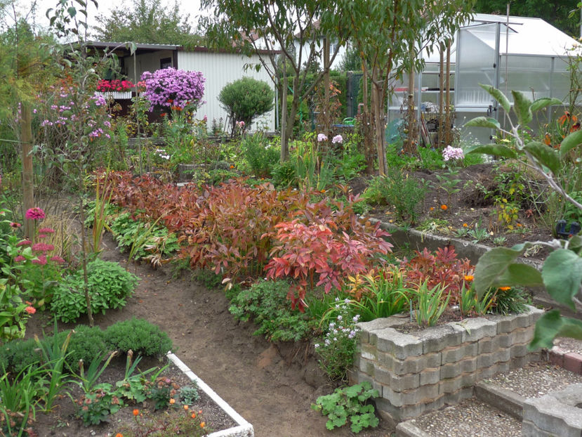  - 2017 - 03 - Toamna